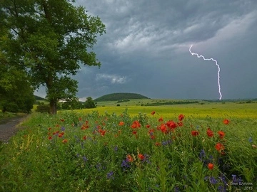 У частині країни – травневе тепло, у частині – літня спека, грози та шквали: прогноз синоптика на вихідні