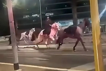 Кутерьма в центре города: несколько десятков лошадей пронеслись по улицам Рима
