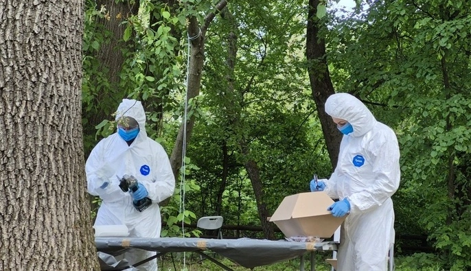 Украина разрешила эксгумацию польских захоронений в трех областях