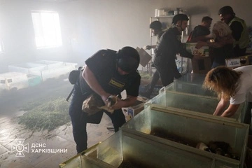 ГСЧС: Армия РФ ударила по зоопарку в Харькове, есть разрушения и жертвы