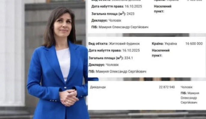 Семейные покупки на 26 миллионов: найдены в декларации киевской депутатки Виктории Пташник