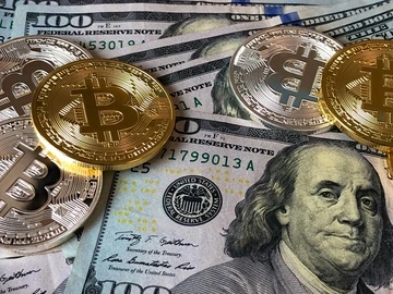 Рекордные 278,8 млн грн: кто из депутатов задекларировал больше всего криптовалют