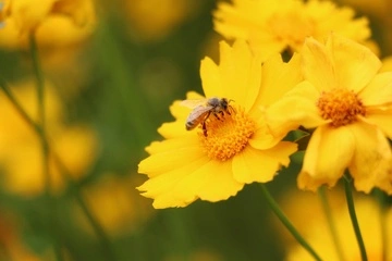 23 червня — яке сьогодні церковне свято, історія, традиції та прикмети