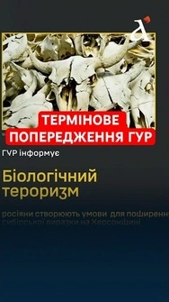 ГУР: окупанти створюють умови для поширення сибірської виразки на Херсонщині #гур #херсон #новини