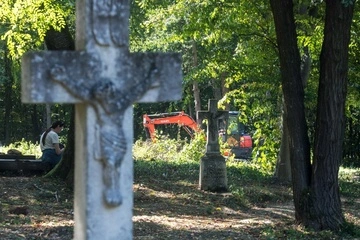 У Пужниках не знайшли другої могили загиблих поляків — заява польських посадовців