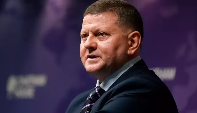 Залужний: Справжня сила Конституції України — у готовності народу її захищати