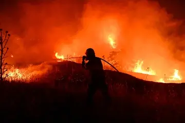 У Греції поблизу Салонік спалахнула лісова пожежа 