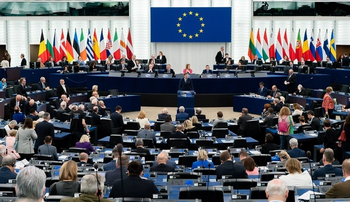 Європарламент розкритикував Зеленського через назву підрозділу на честь УПА