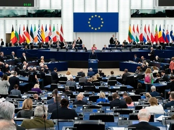 Європарламент розкритикував Зеленського через назву підрозділу на честь УПА