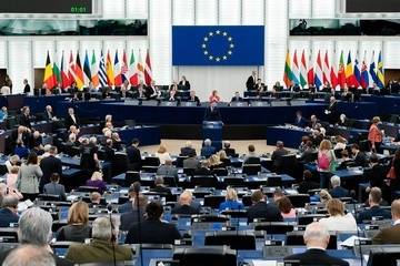 Европарламент раскритиковал Зеленского из-за названия подразделения в честь УПА