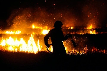 В Испании из-за лесных пожаров на фоне жары погибли 12 человек