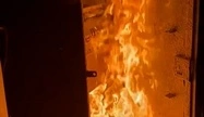 Партизаны уничтожили башни с комплексами радиоэлектронной борьбы в Брянской области РФ