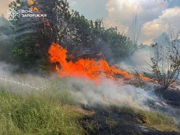 ДСНС: на Запоріжжі РФ атакувала рятувальників під час ліквідації пожежі, є поранений  