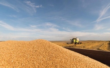ЗМІ: Росія ризикує втратити третину експорту пшениці через ситуацію в Азовському морі