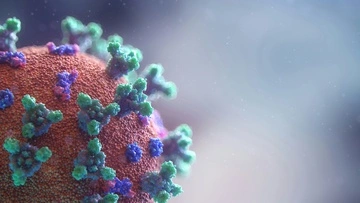 Во Львовской области подтвердили случай хантавирусной инфекции