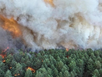 Во Франции бушуют лесные пожары
