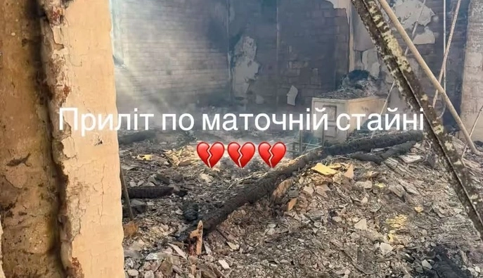 Россияне разрушили конюшню конного завода в Запорожской области