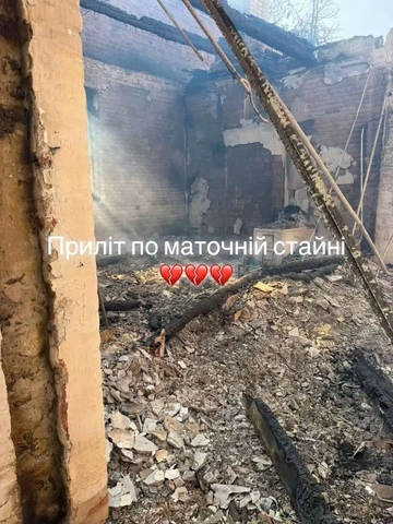 Россияне разрушили конюшню конного завода в Запорожской области
