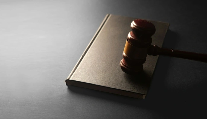 В Москве журналистку Шипачеву приговорили к 12 годам из-за якобы перевода средств в Украину — СМИ