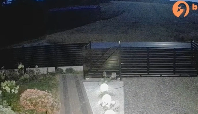 В Польше показали момент падения объекта, который залетел во время атаки на Украину: это может быть ракета Х-101