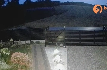В Польше показали момент падения объекта, который залетел во время атаки на Украину: это может быть ракета Х-101
