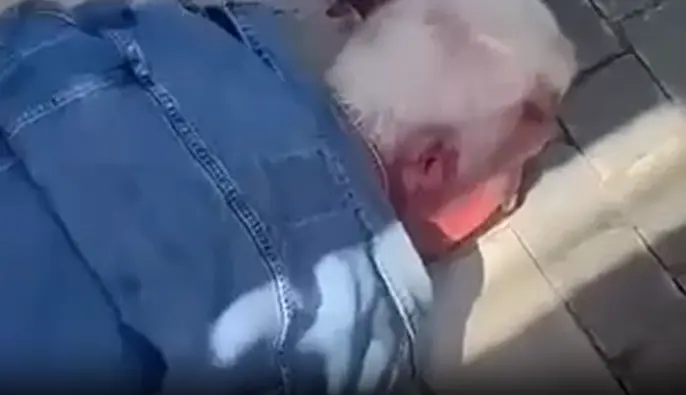 СМИ: Нападающего на командира 