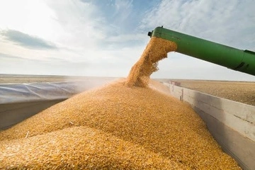 Украинские аграрии по состоянию на 4 августа обмолотили 4,01 млн га