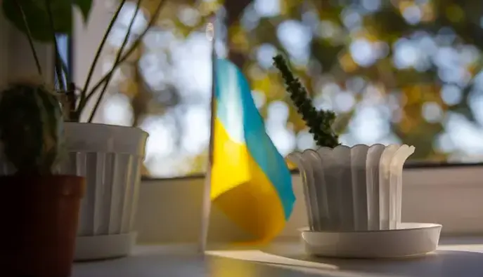 Новые языковые правила для чиновников и не только: в Украине намерены усилить защиту государственного языка