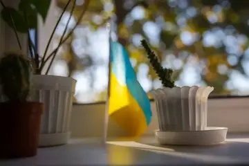 Нові мовні правила для чиновників і не тільки: В Україні хочуть посилити захист державної мови