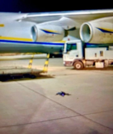 У аеропорту Лейпцига біля українського літака Antonov виявили дрон із вибухівкою – ЗМІ 