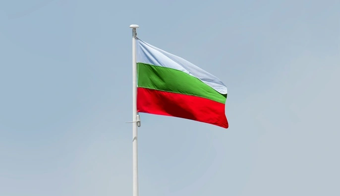 Упавший в Болгарии дрон мог быть украинским: Минобороны предполагает, что это приманка "Майя"