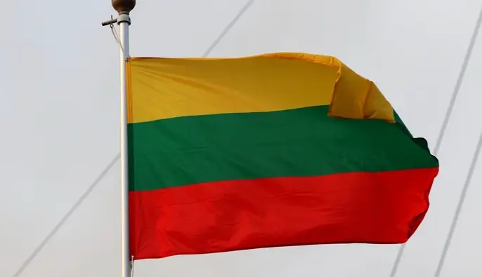 Литва назвала причину, чому українські дрони перестали залітати в Балтію