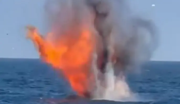Румынские силы уничтожили дрейфующие дроны рядом с морским газовым объектом