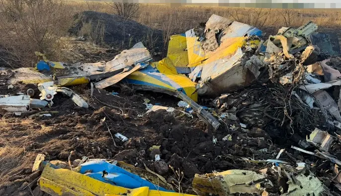 Падіння МіГ-29 на Одещині: у ДБР розповіли, що може встановити "чорна скринька"