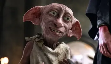 Фанати "Гаррі Поттера" домоглися перенесення кабелю вартістю сотні тисяч мільйонів заради "могили" Доббі