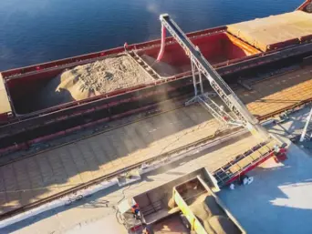 Україна може втрачати до 70% потенційного експорту зерна: Висоцький назвав цифри