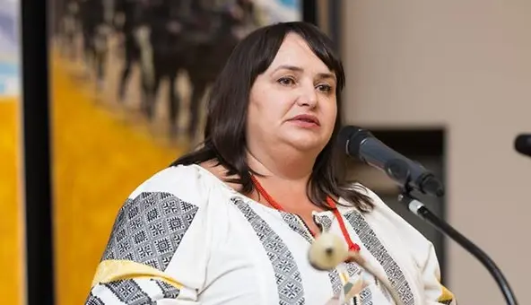 Скільки Ірландія витратила на Україну та українських біженців: посол назвала суму