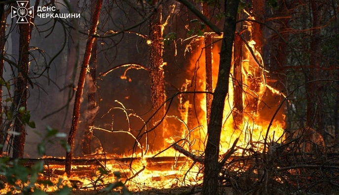 Пожежники локалізували масштабну лісову пожежа в Черкаському районі
