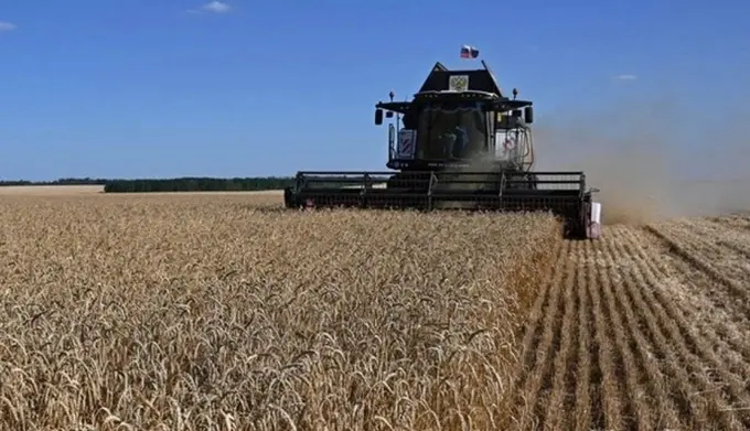 Україна з 1 по 18 серпня експортувала 900 тис. тонн агропродукції