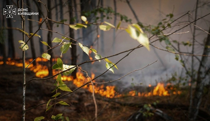 ДСНС: на Київщині рятувальники четверту добу ліквідовують лісову пожежу