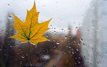 В Украину идут дожди и резкое похолодание: прогноз на первую неделю осени