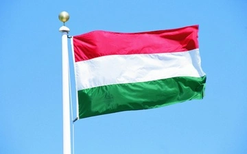 Венгрия согласилась помочь Германии противостоять гибридным угрозам со стороны РФ