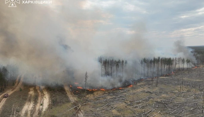 На Харківщині вирують лісові пожежі