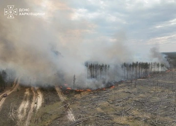 На Харьковщине бушуют лесные пожары