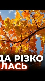 ⚡️СОНЦЕ ПОВЕРТАЄТЬСЯ? Синоптики оновили ПРОГНОЗ погоди в Україні | Погода 17 вересня