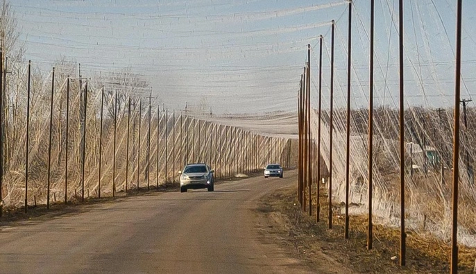 Уряд виділить 789 млн грн з резервного фонду на антидроновий захист доріг — Корецький
