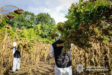 Тонна каннабісу та 96 затриманих: Нацполіція провела спецоперацію "Джентльмени"