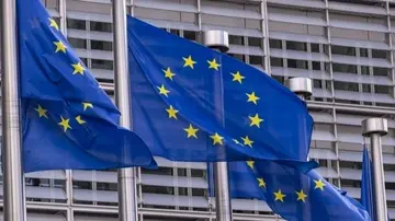 У ЄС занепокоєні нелегальним вивезенням зброї з України