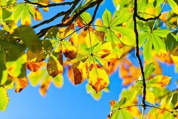 Дощі скоро припиняться: в Укргідрометцентрі розповіли, коли чекати повернення тепла