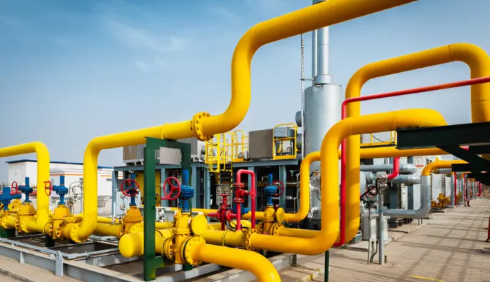 Сколько будем платить за газ зимой: правительство продлило льготные цены